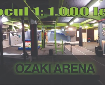 Ozaki Arena- Ninja Challenge